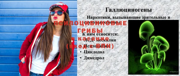 гидра Белоозёрский