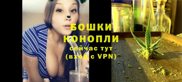 гидра Белоозёрский